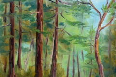 Redwood Air